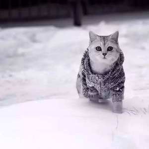 尤物视频在线观看
